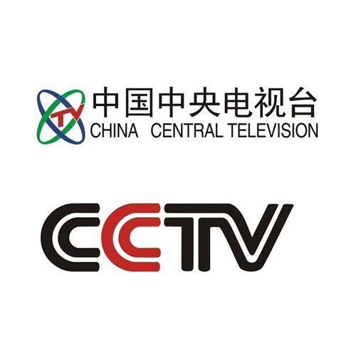 央視網新聞
