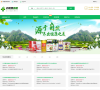 全國藥房聯盟